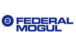 logo_federal-mogul